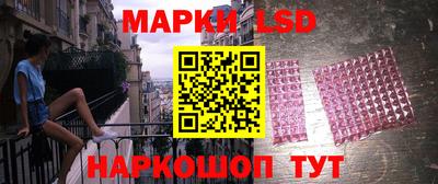 ешки Кингисепп
