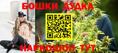 ешки Кингисепп