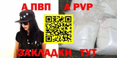 ешки Кингисепп