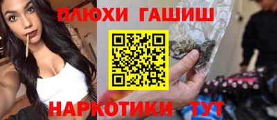 ешки Кингисепп