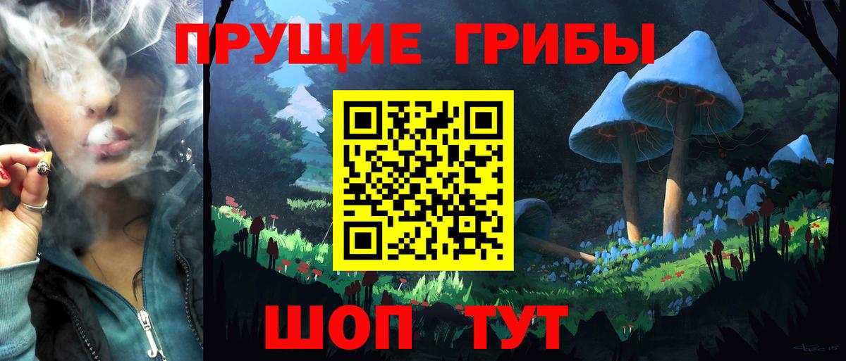 где можно купить наркотик  Вход с VPN  Коряжма  Псилоцибиновые грибы Psilocybine cubensis 